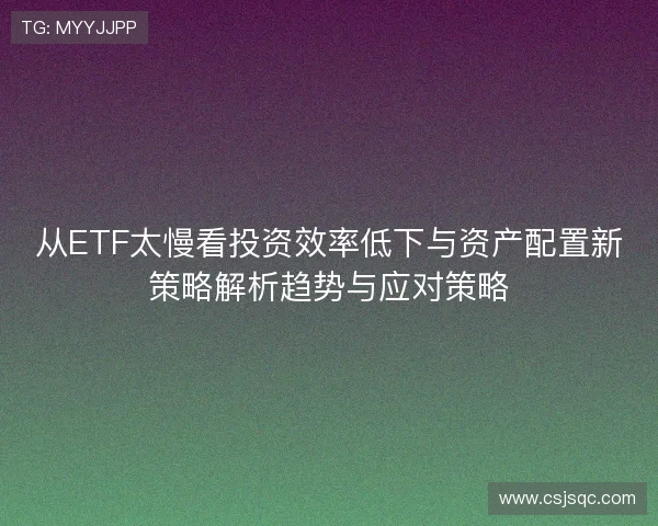 从ETF太慢看投资效率低下与资产配置新策略解析趋势与应对策略